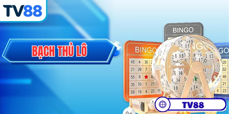 Bạch Thủ Lô: Khái Niệm, Ưu Nhược Điểm Và Cách Bắt Chuẩn